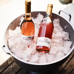 two wine bottles sit in an ice bucket