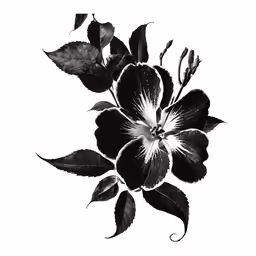 a flower in black and white with leaves on a white background