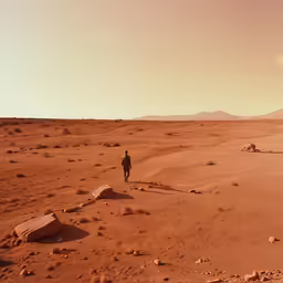 a lone person walking through the desert with no grass on it