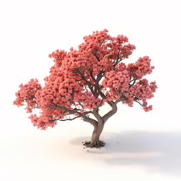 a small pink tree with lots of branches