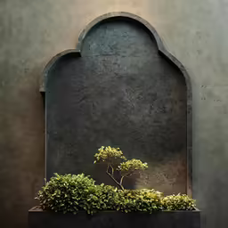 a bonsai tree in a gray stone niche