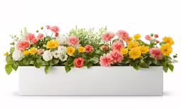 a white vase has flowers in it
