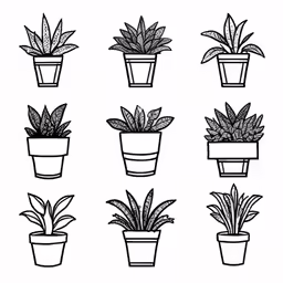 several potted house plants on a white background