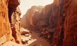 a large rock in a desert that is almost entirely covering