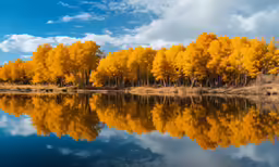 the trees are changing color on the water