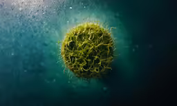 a green ball floating on water covered with drops of water