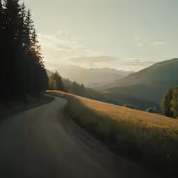 an empty winding rural road with trees in the background