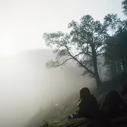 a person is sitting on a mountain side