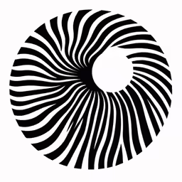 a black and white illustration with a spiral shape