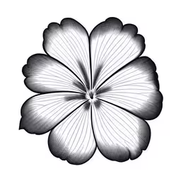 a flower with its petals drawn in black and white,a flower in the shape of a leaf