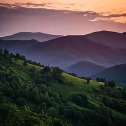 a mountain range with trees in the foreground at dusk