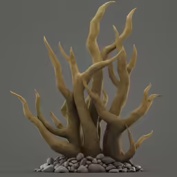 a large tree with lots of branches, rocks and gravel