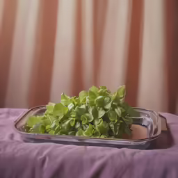 fresh plants in a rectangular glass dish on purple surface