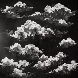 an abstract photograph of clouds floating in the air