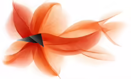 an orange flower with black details on the petals