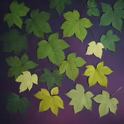 leaves and stems of different colors are displayed on a surface