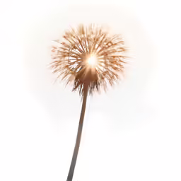 a sunflower that is lit in the sky