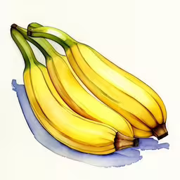 a bunch of bananas sitting on top of a counter,drawing of a bunch of yellow bananas on white paper