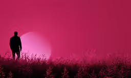 a man stands in the middle of a pink field