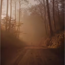 man walking down a dusty road surrounded by trees