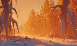 fog is rising above the snow covered ground