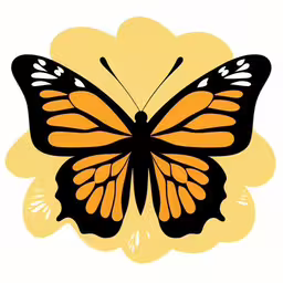a large orange butterfly flying over a white background,a black and orange butterfly on a white background