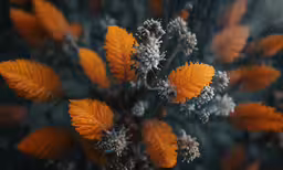 some very pretty orange leaves in the grass