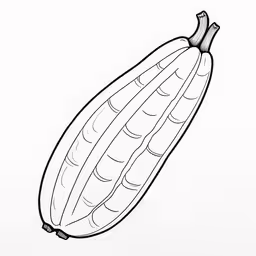 a line drawing of a pod with a stem that can be split off,a drawing of an eggplant on a white background