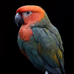 a parrot with orange wings and green body and head