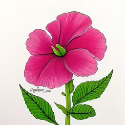 a pink flower sitting on top of a green leaf,a drawing of a pink flower with green leaves