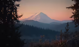 a view of the mountain in the distance from a wooded area