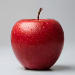 red apple with a bite taken out of it sitting on the ground
