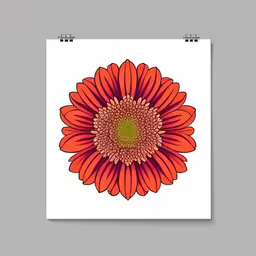 a red flower with green center is shown on a poster,a large flower is shown against a white background