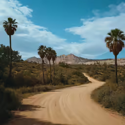 there is a gravel road in front of trees