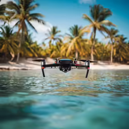 a remote controlled aircraft in the ocean by some trees