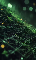 the plant is growing on the surface of grass
