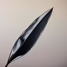 a black umbrella against a gray sky with no clouds