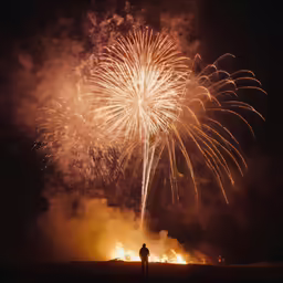 a man is looking at fireworks in the night sky