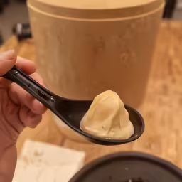a person holding a spoon full of cream