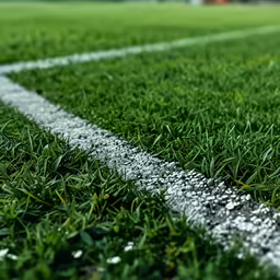 a baseball is on a soccer field with some grass