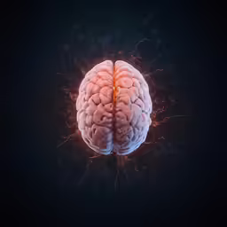 a computer generated rendering of a brain