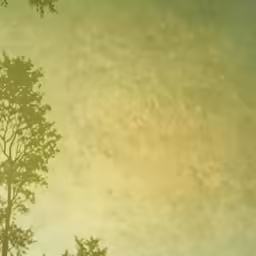 a sheep standing underneath a group of tall trees