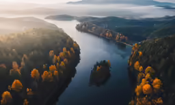 an aerial view of a lake surrounded by forest
