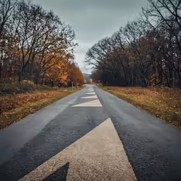the road is lined with trees and has an upside down arrow painted on it