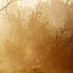 a red fire hydrant is surrounded by the fog