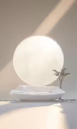 a white vase with a plant and large round object on it