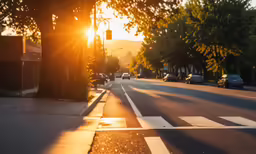 a city street with a stop light and trees