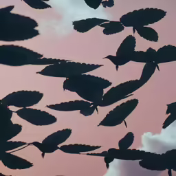 the leaves and sky have a pinkish hue