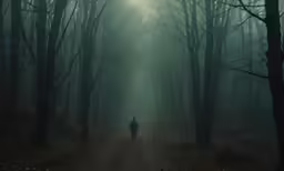 a man walking down a road through a dark, foggy forest