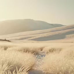 snowy hills, grass and a lone house